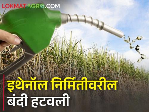 Central Government withdraws ban on ethanol production; Limit of 17 lakh tonnes of sugar | केंद्राकडून इथेनॉल निर्मितीवरील बंदी मागे; १७ लाख टन साखरेची मर्यादा