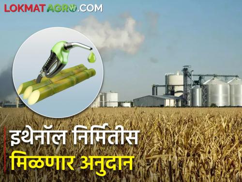 Subsidy of Rs 6.87 per liter for C heavy ethanol production | सी हेवी इथेनॉल निर्मितीस लिटरमागे ६.८७ रुपये अनुदान