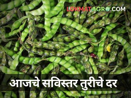 maharashtra agriculture farmer market yard todays tur rates market price | जाणून घ्या आजचे सविस्तर तुरीचे दर