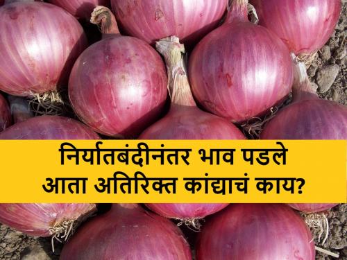 excess onion issue may raise after onion export ban by India | Onion Export Ban: गरजेपेक्षा अधिक उत्पादन, मग कांदा निर्यातबंदीचा वरवंटा कशाला?