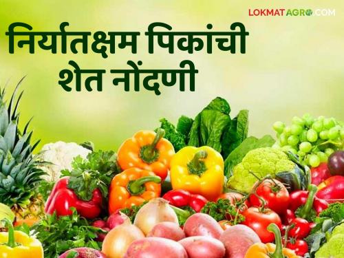 Latest News Farmers register exportable fruit and vegetable on Hortinet system see details | Export vegetable, fruits : शेतकऱ्यांनो! फळे, भाजीपाला निर्यातीसाठी नोंदणी केली का? इथं करा नोंदणी