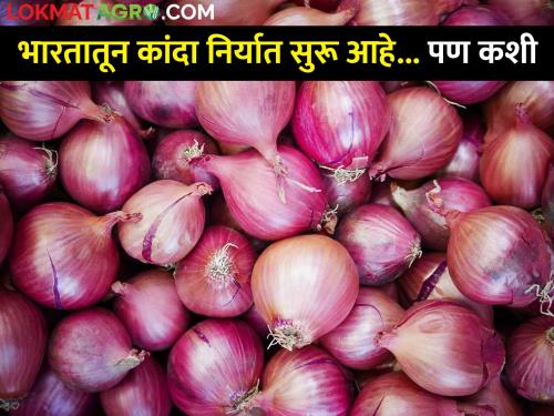 Regular smuggling of at least 1,800 tonnes of onion from India; Export ban benefits competing countries | भारतातून राेज किमान १,८०० टन कांद्याची तस्करी; निर्यातबंदीमुळे स्पर्धक देशांना फायदा