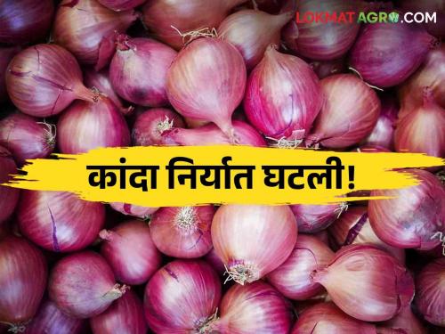 Latest News Country's onion export decreased by 13 percent last year see details | Onion Export : कांदा निर्यातबंदीचा फटका, देशाची कांदा निर्यात गतवर्षात 13 टक्क्यांनी घटली