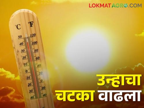 Nagpur 44.3 degrees, Latur 38, what is the temperature in your city today? | नागपूर ४४.३ अंश, लातूर ३८, तुमच्या शहरात काय आहे आज तापमान?