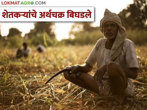 Due to increase in the price of seeds and fertilizers, Baliraja came to Metakuti! | बियाणे, खतांच्या दरवाढीमुळे बळीराजा आला मेटाकुटीला !