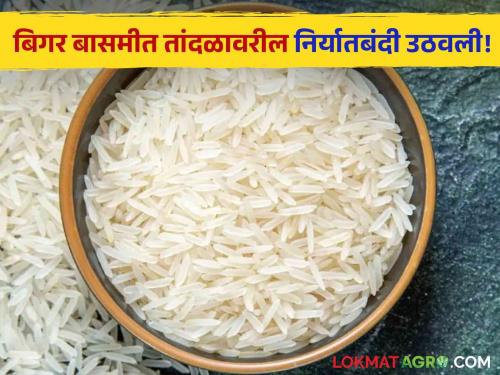 remove Rice Export Ban Not only basmati, other rice can also be exported Export restrictions removed | Rice Export : केवळ बासमतीच नव्हे, इतर तांदुळही करता येणार निर्यात; निर्यातीवरील निर्बंध हटवले