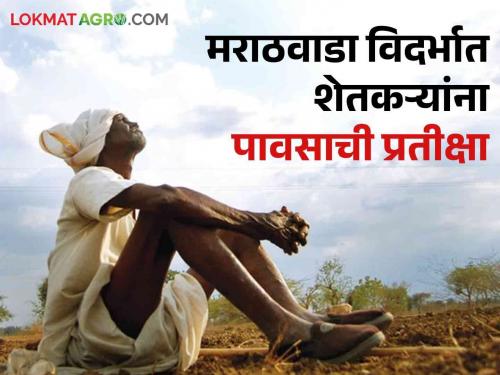 Maharashtra Rain Updates Wash in Konkan, Ghat area! Farmers are waiting for rain in Marathwada, Vidarbha | Maharashtra Rain Updates : कोकण, घाट परिसरात धोधो! मराठवाडा, विदर्भात शेतकरी करतायेत पावसाची प्रतीक्षा