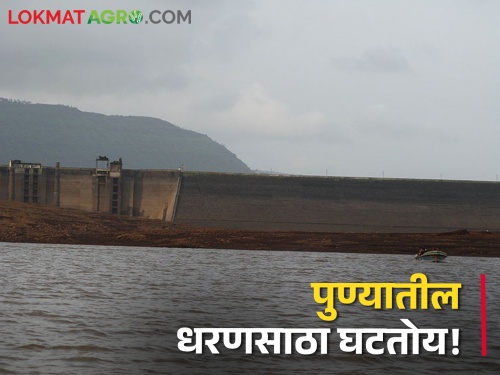 Pune Dam storage: Pune people use water sparingly, there is only so much water left in the dams | Pune Dam storage: पुणेकरांनाे पाणी जपून वापरा, धरणांमध्ये आता राहिलंय एवढं पाणी