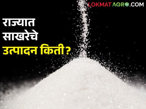 Sugar production declined compared to last year; How many days will the sugar factory run? | मागच्या वर्षीच्या तुलनेत साखरेचे उत्पादन घटले; किती दिवस चालणार साखर कारखाने?