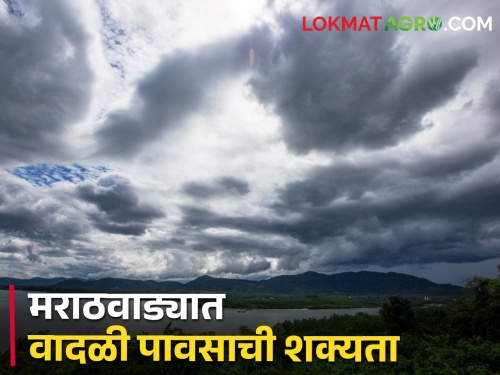 Next five days of rain in Marathwada! Chance of rain with lightning in these districts | मराठवाड्यात पुढील ५ दिवस पावसाचे! या भागात विजांच्या कडकडाटासह पावसाची शक्यता..