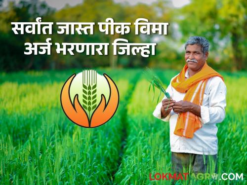 Crop Insurance This district is top for filling crop insurance application! 12 percent participation compared to the state | Crop Insurance : पीक विमा अर्ज भरण्यासाठी हा जिल्हा अव्वल! राज्याच्या तुलनेत १२ टक्के सहभाग