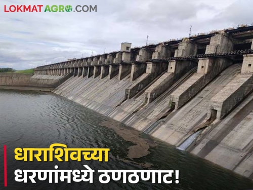 Dam Water: Dharashiva's dam reservoir is broken! In most of the projects, the dam stock is at zero | धाराशिवच्या धरणसाठ्यात ठणठणाट! बहुतांश प्रकल्पात पाणीसाठा शून्यावर 