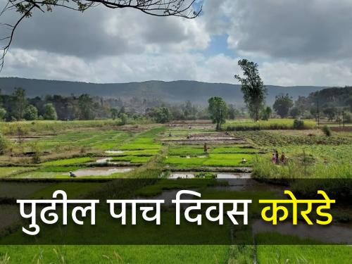 How will the weather be in the state for the next five days? | राज्यात पुढील पाच दिवस कसे असणार हवामान?