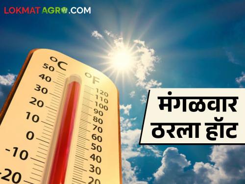 Be careful, scorching heat for the next five days, Tuesday turns hot in Chhatrapati Sambhajinagar | काळजी घ्या, पुढील पाच दिवस कडक ऊन, छत्रपती संभाजीनगरमध्ये मंगळवार ठरला हॉट