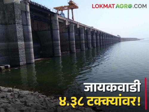 Jayakwadi Dam: Jayakwadi Dam at 4.38 percent! Water scarcity has increased in Marathwada | Jayakwadi Dam: जायकवाडी धरण ४.३८ टक्क्यांवर! मराठवाड्यात पाणीटंचाईची तीव्रता वाढली