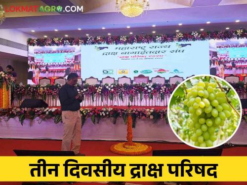 Grapes Conference 'Draksha Parishad' for three days from today. | Grapes Conference : द्राक्ष बागायतदार संघाची आजपासून तीन दिवस 'द्राक्ष परिषद'