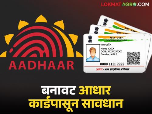 Fake Aadhar Card : How to identify a fake Aadhar card? Learn in detail | Fake Aadhar Card : बनावट आधार कार्ड नेमके कसे ओळखावे? जाणून घ्या सविस्तर