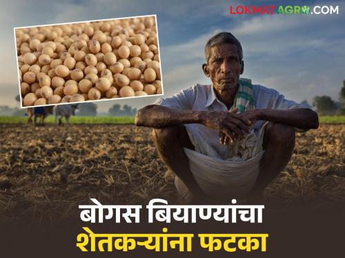 latest news Fake Seeds: Low yield due to fake seeds; Farmers suffer losses, action taken read in details | Fake Seeds : बनावट बियाण्यांमुळे उगमशक्ती कमी; शेतकऱ्यांचं नुकसान, कारवाई सुरू वाचा सविस्तर