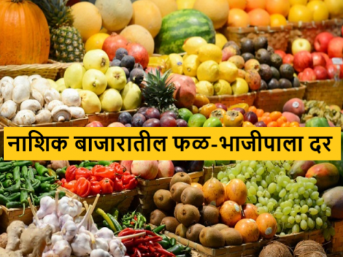 Latest news Vegetable Market Fruit and vegetable prices in Nashik Market yard, read today's market prices | Vegetable Market : नाशिक बाजार समितीतील फळ आणि भाजीपाला दर, वाचा आजचे बाजारभाव