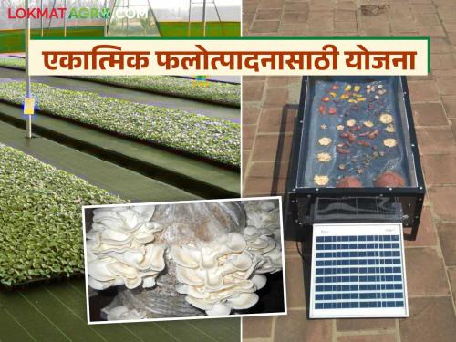 Five new elements included in the Horticulture Mission for agro-based industries; How will you benefit? | शेती आधारित उद्योगासाठी फलोत्पादन अभियानात नवीन पाच घटकांचा समावेश; कसा घ्याल लाभ?