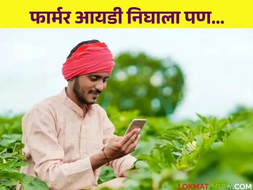 Farmer ID : I got the Farmer ID but when will I get the benefit of other facilities of the Agristack scheme? | Farmer id : फार्मर आयडी मिळाले पण अ‍ॅग्रीस्टॅक योजनेच्या इतर सुविधांचा लाभ कधी मिळणार?