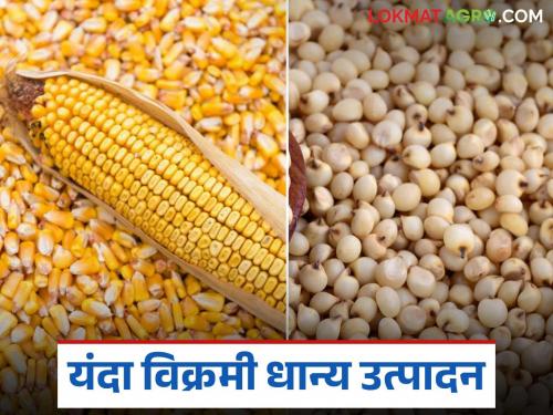 This year, there will be a record production of food and grains at the global level; Food and Agriculture Organization predicts | यंदा जागतिक पातळीवर अन्न-धान्याचे विक्रमी उत्पादन होणार; अन्न व कृषी संघटनेचा अंदाज