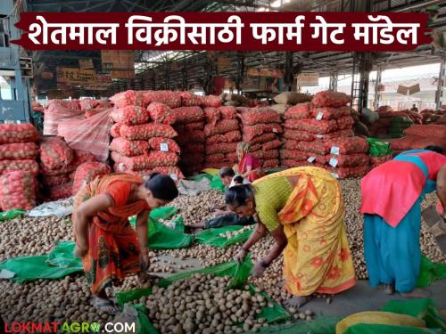 Latest News Online sale of agricultural products like onion, see concept of farm gate model | शेतमालाची ऑनलाईन विक्री, कांद्यासह धान्य पिकांना फायदा, काय आहे फार्म गेट मॉडेल?