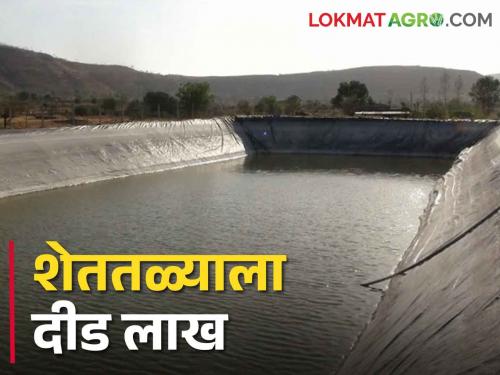 Farmers will now get a subsidy of one and a half lakh for Farm Pond | Shettale Yojana शेततळ्यासाठी शेतकऱ्यांना मिळणार आता दीड लाखाचे अनुदान