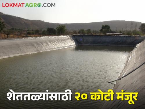 Good news for drought-stricken farmers; This amount of funds will be available for Chief Minister Sustainable Agriculture Irrigation Scheme | दुष्काळी शेतकऱ्यांसाठी खुशखबर; मुख्यमंत्री शाश्वत कृषि सिंचन योजनेसाठी मिळणार इतका निधी