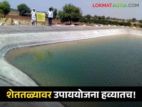 Latest News Drowning in farm ponds rising concern in maharashtra rural | Agriculture News : शेततळी बांधा, पण सुरक्षेची काळजीही घ्या, कारण... जाणून घ्या सविस्तर