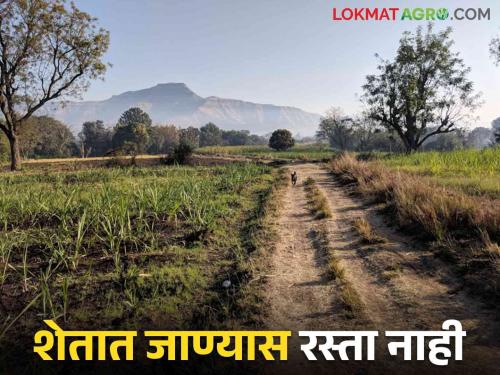 There is no road to the farm so how to get it legally? Read in detail | शेतात जाण्यासाठी रस्ता नाही मग कायदेशीर हक्काने तो कसा मिळवायचा? वाचा सविस्तर