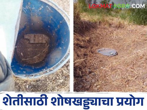 Latest News farmer of Jalgaon has grown agriculture on water reservoir of soak pit | Smart Farming : जळगावच्या शेतकऱ्याचा भन्नाट प्रयोग, शोषखड्ड्याच्या पाण्यावर पिकवली शेती! वाचा सविस्तर