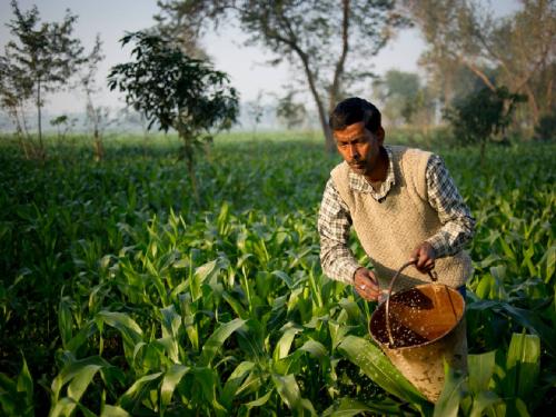 Reduce employees in agriculture department for the benefit of farmers, former divisional commissioner of Aurangabad Sunil Kendrekar recommends in the report. | 'शेतकरी हितासाठी कृषी विभागातील कर्मचारी करा कमी...'