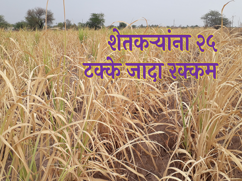 Crop insurance compensation pikvima, 25 percent additional amount to farmers | पीकविमा भरपाई, शेतकऱ्यांना २५ टक्के जादा रक्कम