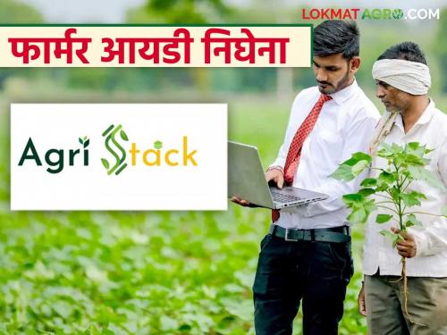 Latest News Farmer ID not found even though name is on Satbara, see perfect reasons | सातबाऱ्यावर नाव तरीही फार्मर आयडी मिळेना, 'ही' आहेत कारणे, वाचा सविस्तर 