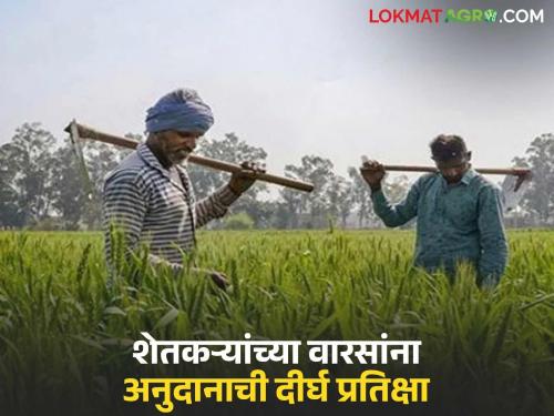 latest news Shetkari Apghat Yojana: When will the heirs of 223 accident-affected farmers in 'this' district get financial assistance? Read in detail | Shetkari Apghat Yojana: 'या' जिल्ह्यात २२३ अपघातग्रस्त शेतकऱ्यांच्या वारसांना आर्थिक मदत कधी मिळणार? वाचा सविस्तर