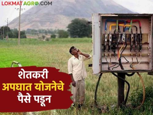 Gopinath Munde Apghat Vima Yojana : 81 lakhs subsidy of Farmer Accident Security Scheme | Gopinath Munde Apghat Vima Yojana : शेतकरी अपघात सुरक्षा योजनेचे तब्बल ८१ लाखांचे अनुदान पडून