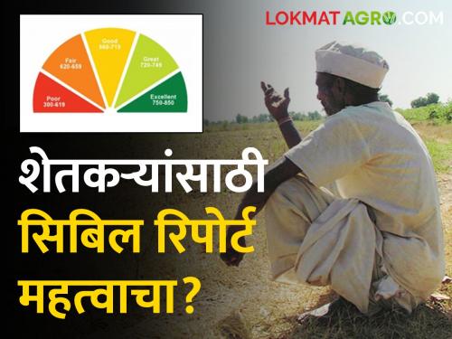 Latest News CIBIL report of farmer is checked while giving loan from district bank | farmer Cibil Report : जिल्हा बँकेकडून कर्ज देताना शेतकऱ्याचा सिबील रिपोर्ट तपासला जातो? वाचा सविस्तर