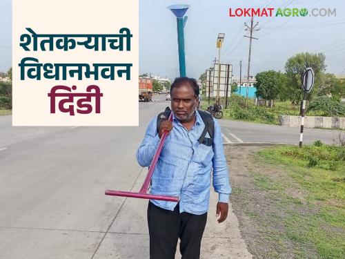 latest news Sahadev Honale set out with a plough to express the pain of farmers. Read in detail | शेतकऱ्याच्या वेदना मांडायला नांगर घेऊन निघाले सहदेव होनाळे वाचा सविस्तर