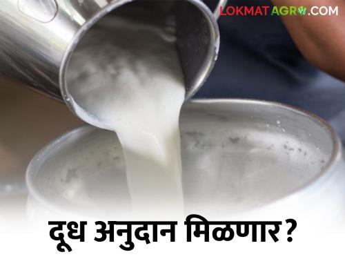 The milk subsidy due to milk producing farmers in this district will soon be credited to their accounts | या जिल्ह्यातील दूध उत्पादक शेतकऱ्यांचे थकलेले दूध अनुदान लवकरच खात्यावर येणार