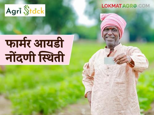 Latest News Agri stack these district leads in Farmer ID registration in maharashtra read in detail | Farmer ID : राज्यात फार्मर आयडी नोंदणीत 'हा' जिल्हा आघाडीवर, वाचा सविस्तर 