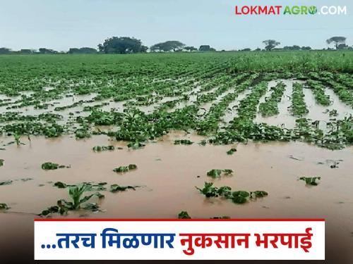 After Agriculture, now Revenue Department has also taken this decision; Farmers need this number for crop compensation | कृषी पाठोपाठ आता महसूल विभागानेही घेतला हा निर्णय; नुकसान भरपाईसाठी शेतकऱ्याकडे पाहिजे हा नंबर