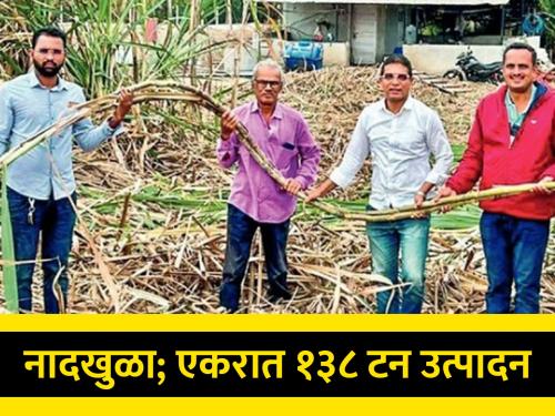 Sweet record of sugarcane production! 138 tons of sugarcane harvested per acre | ऊस उत्पादनाचा गोड विक्रम! एकरात काढला १३८ टन ऊस