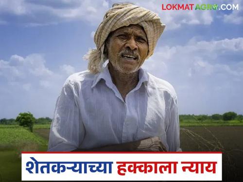 latest news Agricultural News : The farmer got justice; Read the order to pay compensation along with interest to the insurance company in detail | Agricultural News: शेतकऱ्याला न्याय मिळाला; विमा कंपनीला भरपाईसह व्याज द्यायचे आदेश वाचा सविस्तर