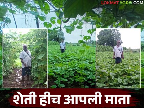 Farmer Success Story: First he did farming on lease; now he has become a guru in agricultural management | Farmer Success Story : आधी भाडेतत्त्वावर केली शेती; आता झाले कृषी व्यवस्थापनातील गुरू