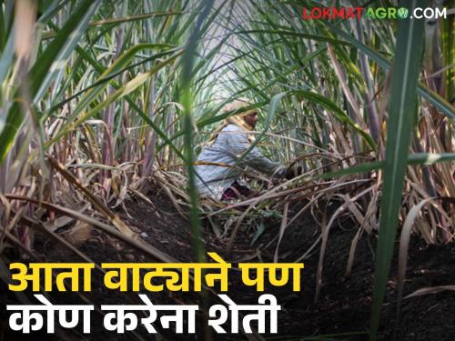 The farmer says he gives half of his income; but does anyone farm my land in return? | शेतकरी म्हणतोय निम्मे उत्पन्न देतो; पण माझी शेती कोणी वाट्याने करता का?
