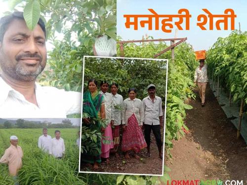 Farmer Success Story: A farm that started with just half an acre today owns a seventeen acre farm | Farmer Success Story: अवघ्या अर्ध्या एकरात सुरु केलेली शेती आज सतरा एकर शेतीचा मालक