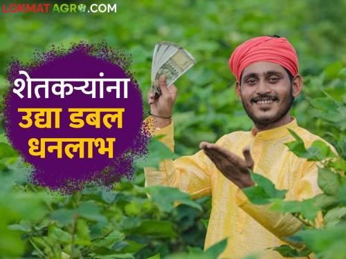 Installments of PM Kisan Samman Nidhi and Namo Shetkari Yojana will be get tomorrow Read details | पीएम किसान सन्मान निधी व नमो शेतकरी योजनेचे हप्ते उद्या जमा होणार वाचा सविस्तर