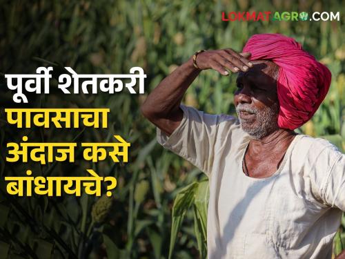 Rain Forecast by Farmer How rain forecast is made from nature, animals, birds and plants | Rain Forecast by Farmer निसर्ग, प्राणी-पक्षी व वनस्पती यांच्यावरून कसा बांधला जातो पावसाचा अंदाज