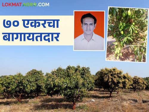 Ranjit from Hingangaon quits his IT job and takes up farming on 70 acres; Read in detail | 'आयटी'तील नोकरी सोडून हिंगणगावचा रणजीत रमला ७० एकर शेतीत; वाचा सविस्तर
